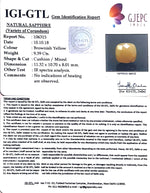 Load image into Gallery viewer, 10.43 Ratti Natural Yellow Sapphire With Govt Lab Certificate-(1221)