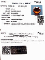 Load image into Gallery viewer, 4.91/CT Natural Govt. Lab Certified Ceylonese Gomed-(1221)