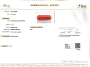 7.71/Carat Natural Cylindrical Red Coral-1800