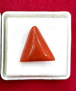 Load image into Gallery viewer, 9.68/CT Natural Triangular Red Coral-2800