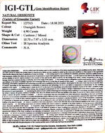 Load image into Gallery viewer, 4.90/CT Natural Govt. Lab Certified Ceylonese Gomed-(1221)