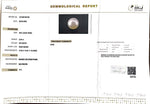 Load image into Gallery viewer, 8.84/CT South Sea Pearl with Govt. Lab Certificate-1550