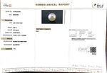 Load image into Gallery viewer, 9.07/CT South Sea Pearl with Govt. Lab Certificate-1550