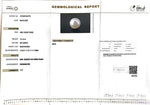 Load image into Gallery viewer, 12.12/CT South Sea Pearl with Govt. Lab Certificate-1550