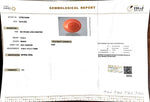 Load image into Gallery viewer, 15.55/Carat Natural Japanese Red Coral-7100