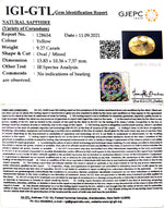 Load image into Gallery viewer, 9.27 Carat Natural Ceylonese Pukhraj with Govt Lab Certificate-(12210)