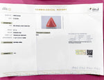 Load image into Gallery viewer, 5.71/CT Natural Red Coral With Govt. Lab Certificate