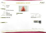 Load image into Gallery viewer, 5.81/CT Natural Red Coral With Govt. Lab Certificate