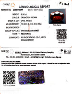 Load image into Gallery viewer, 7.28/CT Natural Govt. Lab Certified Ceylonese Gomed-(1221)