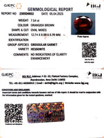 Load image into Gallery viewer, 7.54/CT Natural Govt. Lab Certified Ceylonese Gomed-(1221)