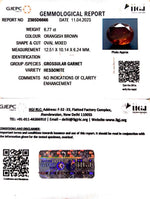 Load image into Gallery viewer, 6.77/CT Natural Govt. Lab Certified Ceylonese Gomed-(1221)