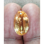 Load image into Gallery viewer, Golden Topaz-450