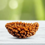 Load image into Gallery viewer, One Mukhi Rudraksha (4500)