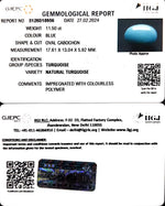 Load image into Gallery viewer, 11.50/CT Natural Govt. Lab Certified Turquoise (832)