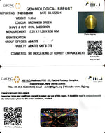 Load image into Gallery viewer, 9.35/CT Natural Apatite Cat's Eye with Govt. Lab certificate-1221