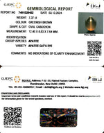 Load image into Gallery viewer, 7.36/CT Natural Apatite Cat's Eye with Govt. Lab certificate-1221