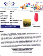 Load image into Gallery viewer, Natural Italian Moonga