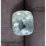 Load image into Gallery viewer, Pukhraj-(8991)