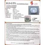 Load image into Gallery viewer, Pitambari Neelam -4551