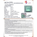 Load image into Gallery viewer, 13.24 Ratti Natural Panna Stone with Govt. Lab Certificate (4551)