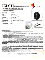 Load image into Gallery viewer, 15.66 Ratti Natural Scapolite Cat's Eye with Govt. Lab Certified-(1221)