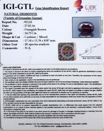 Load image into Gallery viewer, 14.73/CT Natural Govt. Lab Certified Ceylonese Gomed
