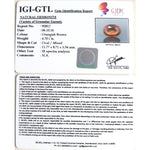 Load image into Gallery viewer, 4.70/CT Natural Govt. Lab Certified Ceylonese Gomed-(1221)