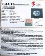 Load image into Gallery viewer, 2.91/CT Natural Ceylonese Pukhraj with Govt Lab Certificate-YELSA9U