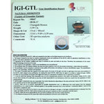 Load image into Gallery viewer, 6.21 Ratti Gomed with Govt. Lab Certificate-(1100)