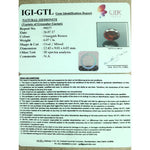 Load image into Gallery viewer, Ceylonese Gomed-(1100)