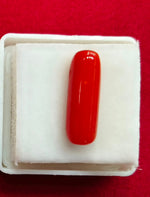 Load image into Gallery viewer, 6.72/CT Natural Red Coral With Govt. Lab Certificate
