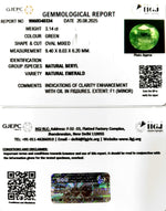Load image into Gallery viewer, 3.14/CT Natural Panna Stone with Govt. Lab Certificate (45510)