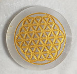 Load image into Gallery viewer, HEALING CHAKRA