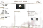 Load image into Gallery viewer, 4.15/CT Natural South Sea Pearl Beads With Lab Certificate (1550)