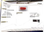 Load image into Gallery viewer, 7.47/CT Natural Red Coral With Govt. Lab Certificate