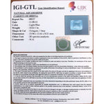 Load image into Gallery viewer, 10.61/CT Natural Aquamarine with Govt Lab Certificate-5661
