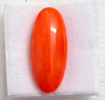 Load image into Gallery viewer, 8.82/Carat Natural Japanese Red Coral-7100