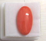 Load image into Gallery viewer, 9.10/Carat Natural Japanese Red Coral-7100