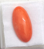 Load image into Gallery viewer, 8.61/Carat Natural Japanese Red Coral-7100