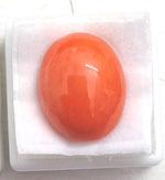 Load image into Gallery viewer, 17.92/Carat Natural Japanese Red Coral-7100