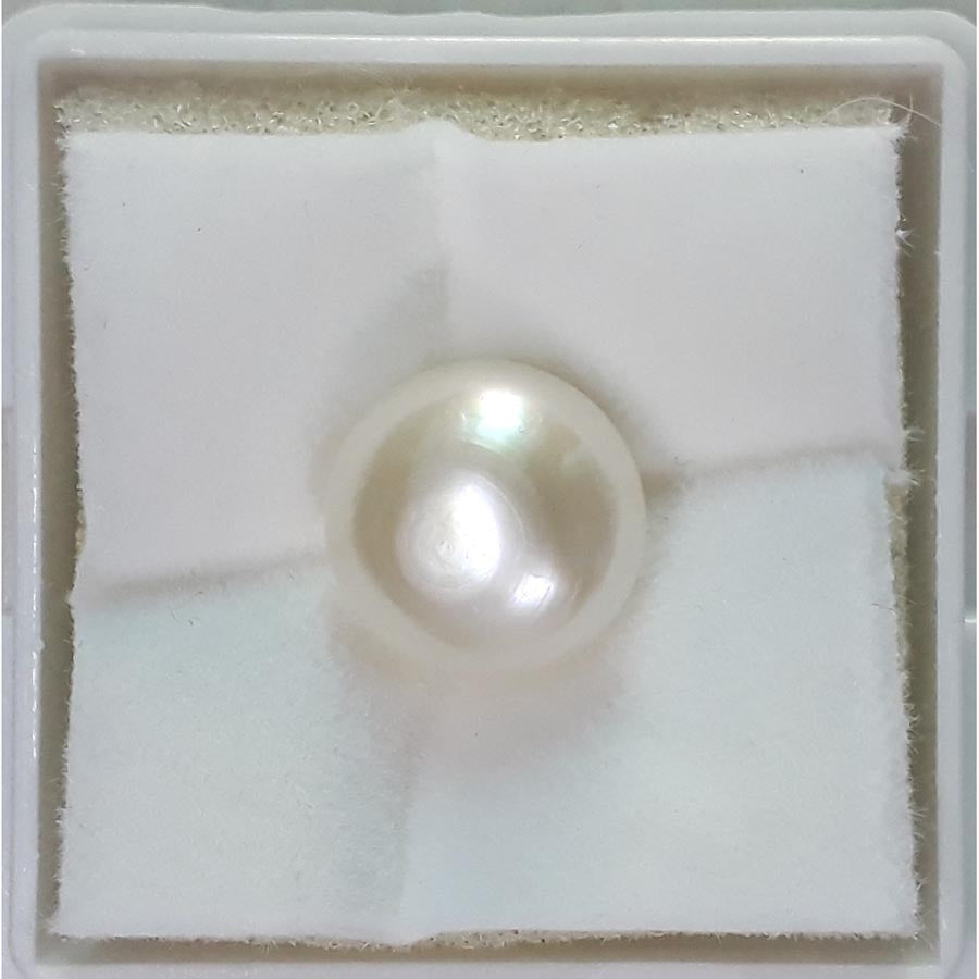 11.19/CT FRESH WATER PEARL