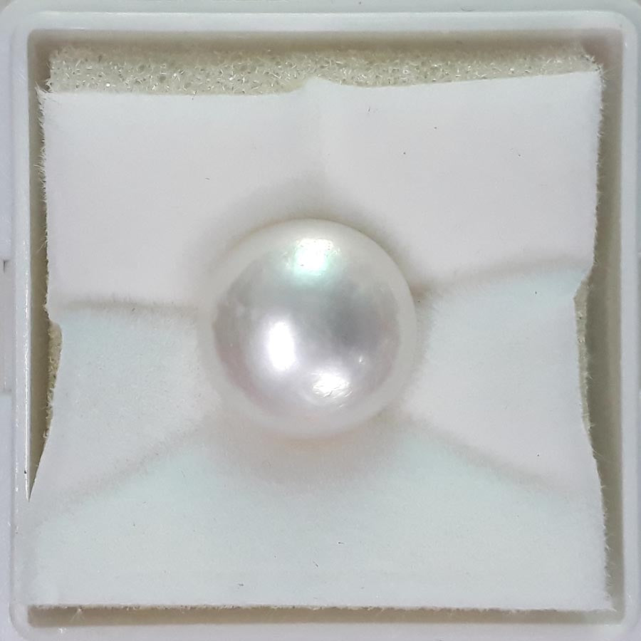 South Sea Pearl