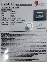 3.13/CT Natural Aquamarine with Govt Lab Certificate-5661