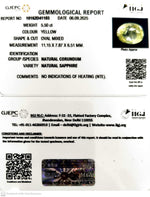 Load image into Gallery viewer, 5.50/CT Natural Yellow Sapphire With Govt Lab Certificate (23310)