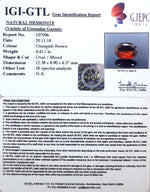Load image into Gallery viewer, 4.89 Ratti Natural Govt. Lab Certified Ceylonese Gomed-(1221)