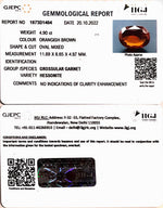 Load image into Gallery viewer, 4.90/CT Natural Govt. Lab Certified Ceylonese Gomed-(1221)