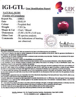 Load image into Gallery viewer, 8.14 Ratti Natural Neo Burma Ruby with Govt. Lab Certificate-(2331)