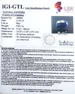 Load image into Gallery viewer, 10.00 Ratti Natural Blue Sapphire With Govt Lab Certified-(2331)