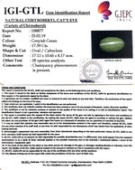 Load image into Gallery viewer, 19.32 Ratti Natural Chrysoberyl Cat's Eye With Govt. Lab Certificate-(6771)