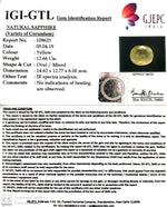 Load image into Gallery viewer, 14.07 Ratti Natural Yellow Sapphire With Govt Lab Certificate-(6771)